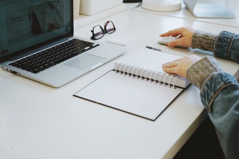 THE FREELANCER’S